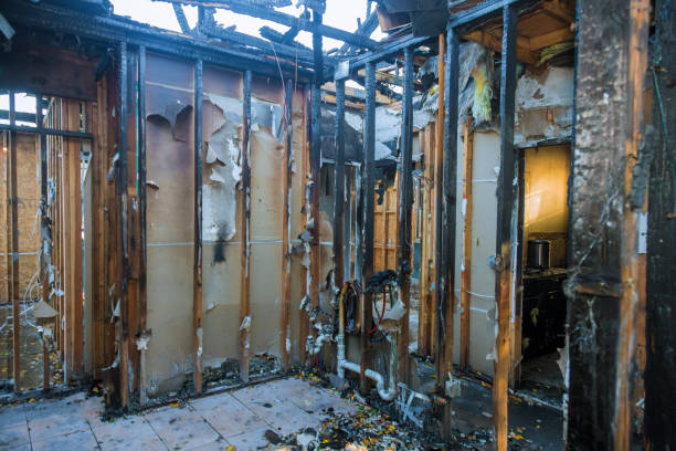 Professional Fire Board Up technician working in Nokomis, FL