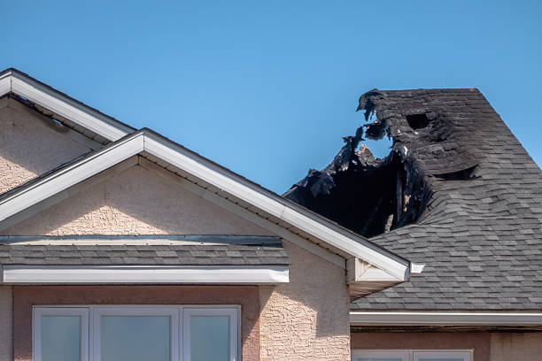Top rated local Fire Board Up specialists in Nokomis, FL